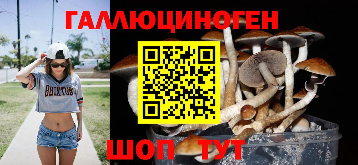 Псилоцибиновые грибы мицелий  Галлюциногенные грибы Cubensis  Вход с VPN  Кызыл 